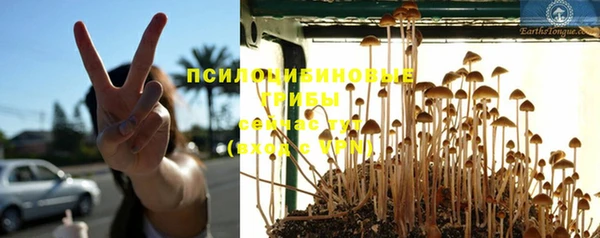 мескалин Абинск
