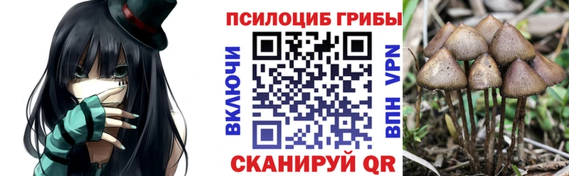 Псилоцибиновые грибы Cubensis  Железноводск 